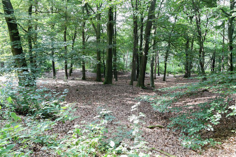 omgeving 3
