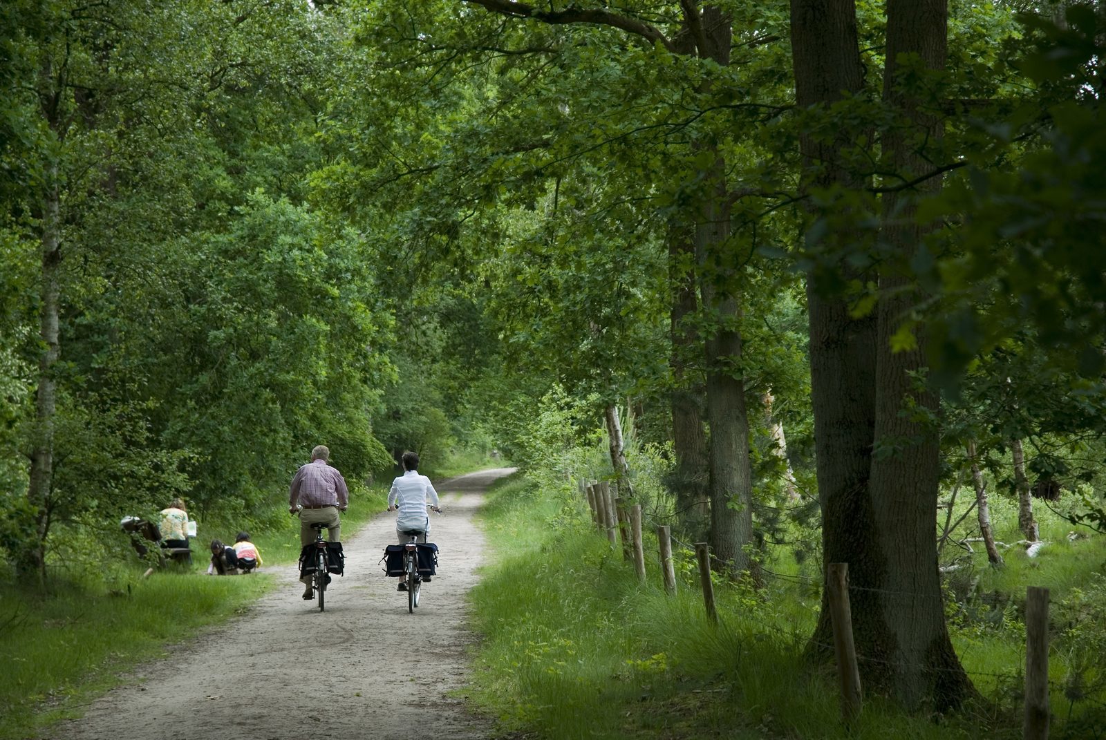 Fietsvakantie Nederland