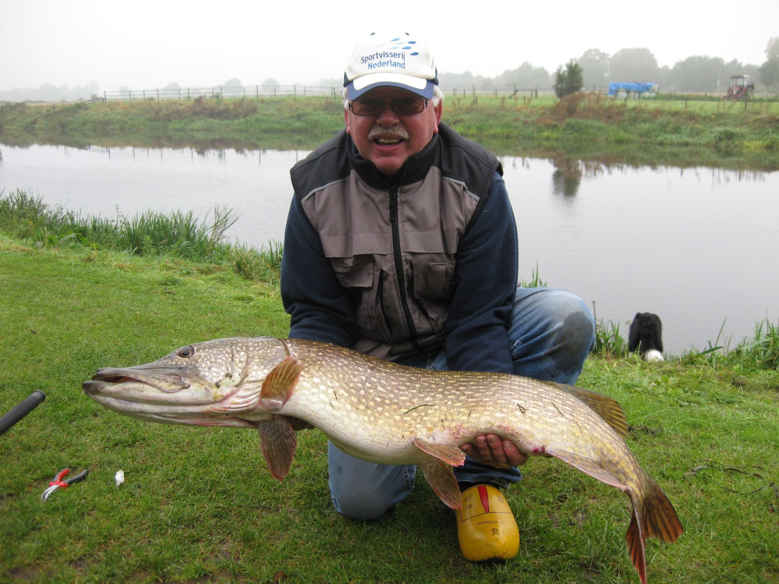 Snoek Vis Vakantie Ommen
