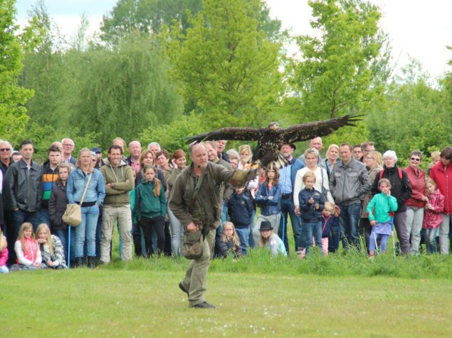 Gezelligheid bij Dedemsvaart natuurlijk