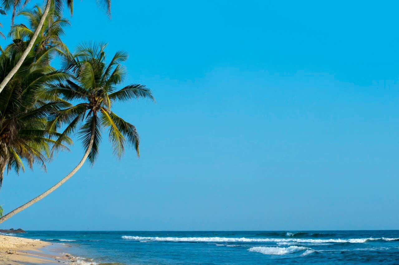 Bonaire vacation A Bonaire vacation is perfect for everyone! Adults and children can relax at the beach and enjoy the ambiance on this beautiful, sunny island.