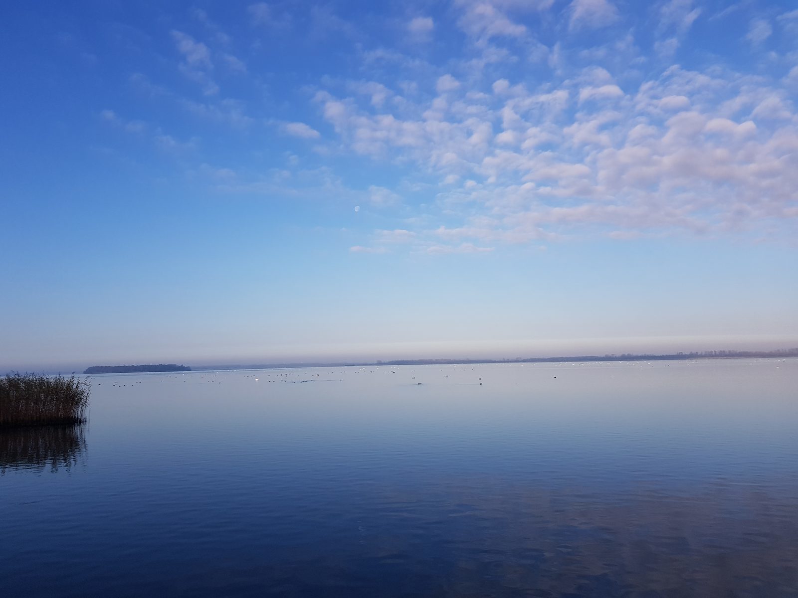 vakantiepark veluwemeer
