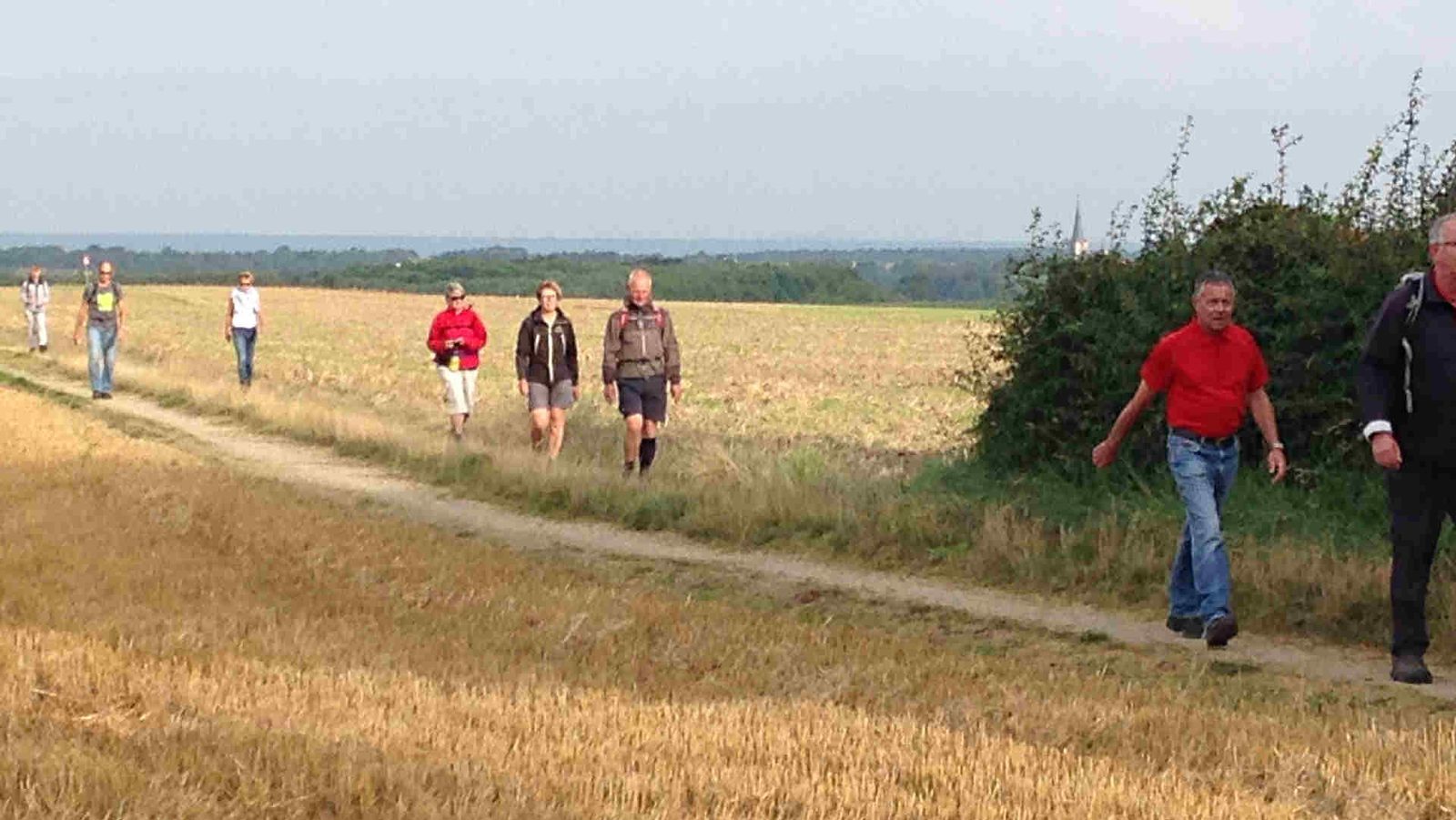 Heuvelland vierdaagse