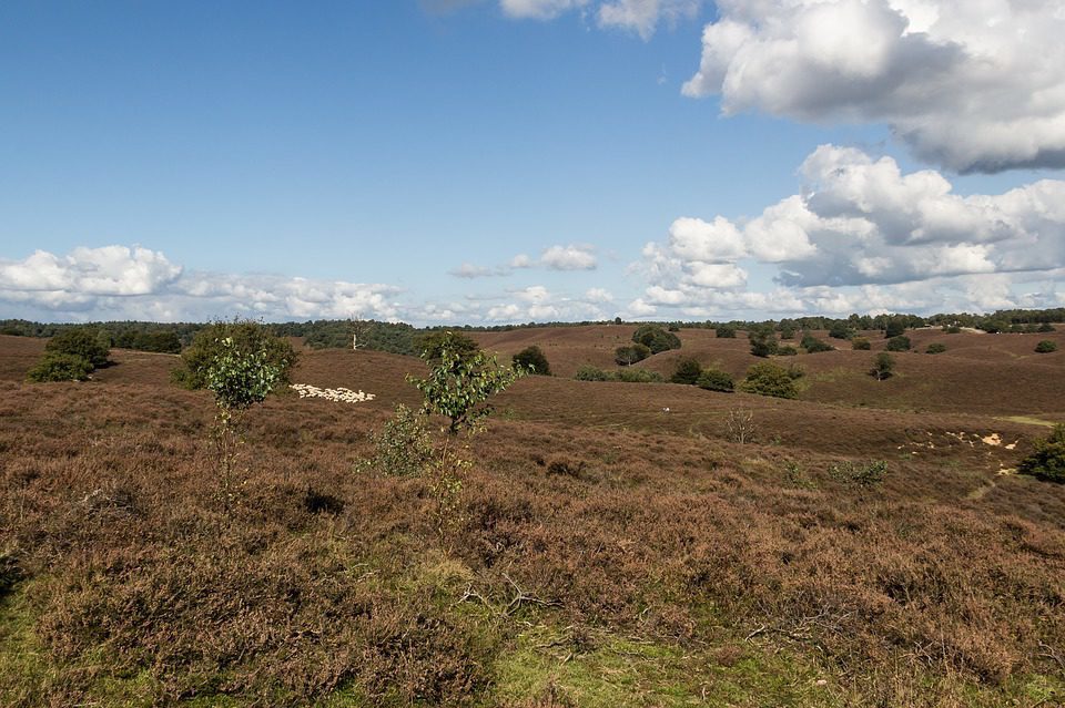 Camping Veluwe Camping Veluwe