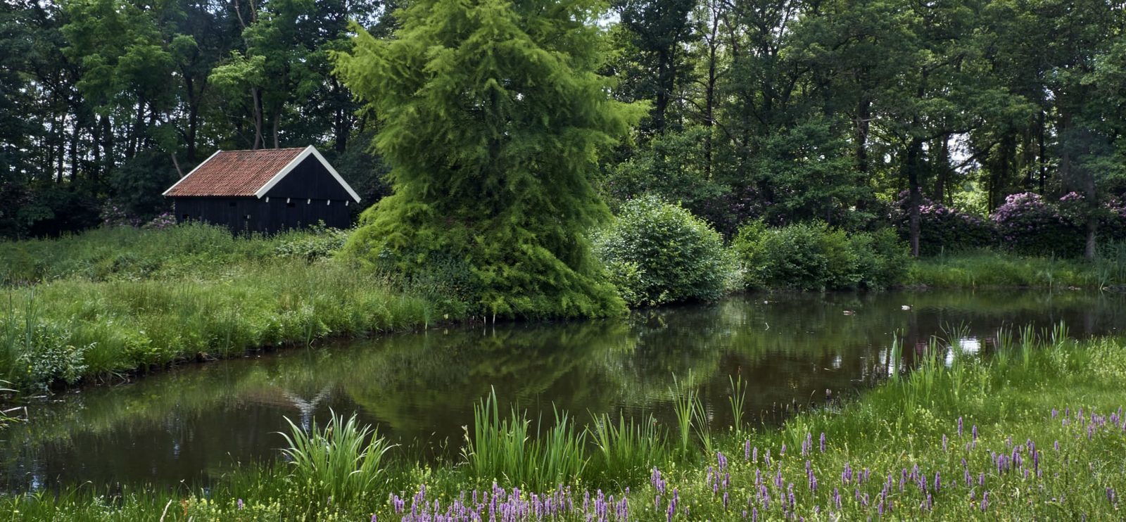 Arboretum.