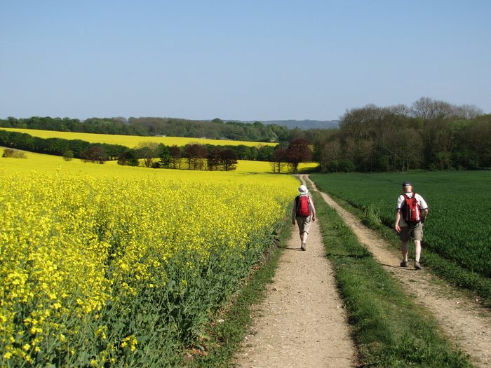 Wandelen in de omgeving Ardennen