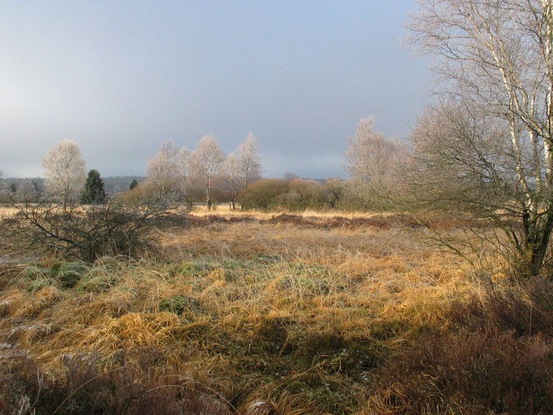 Wandelen in de Ardennen